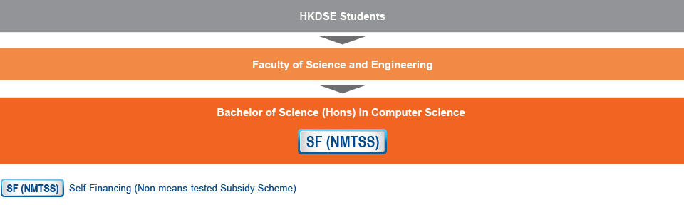 Under 4-year curriculum, HKDSE students who are interested in studying IT-related programmes can apply for the Bachelor of Science (Hons) in Computer Science (Self-financing (Non-means-tested Subsidy Scheme)) offered by the Department of Computer Science under the Faculty of Science and Engineering.
