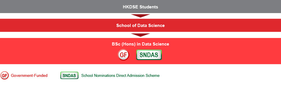 HKDSE students who are interested in studying IT-related programmes can apply for the Bachelor of Science (Honours) in Data Science (government-funded) under the School of Data Science.