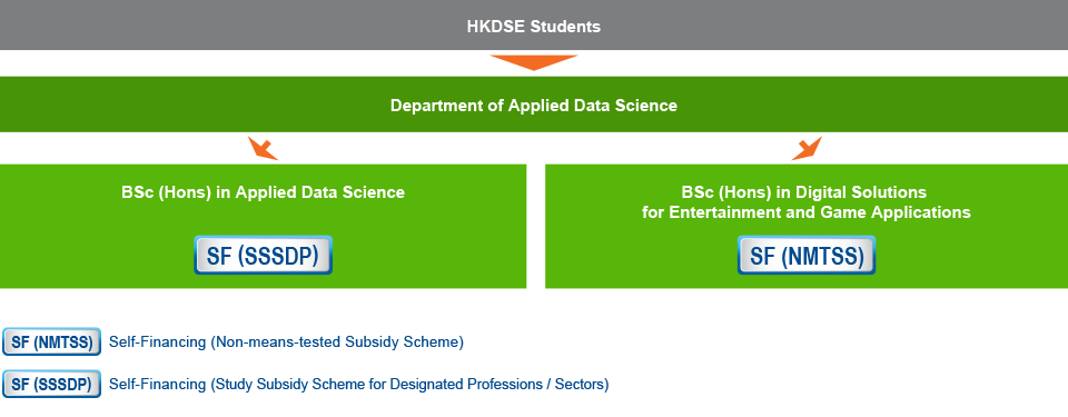HKDSE students who are interested in studying IT-related programmes can apply for Bachelor of Science with Honours in Applied Data Science (Self-financing (Study Subsidy Scheme for Designated Professions / Sectors)), or Bachelor of Science with Honours in Digital Solutions for Entertainment and Game Applications (Self-financing (Non-means-tested Subsidy Scheme)) under the Department of Applied Data Science.