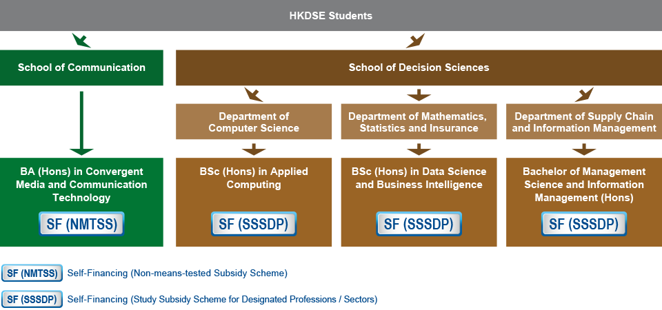 Under a 4-year curriculum, HKDSE students who are interested in studying IT-related programmes can choose to study the Bachelor of Arts (Hons) in Convergent Media and Communication Technology (BA-CMCT) (Self-financing (Non-means-tested Subsidy Scheme)) under the School of Communication, or choose among the three programmes under the School of Decision Sciences: the Bachelor of Science (Hons) in Applied Computing (BSC-AC) (Self-financing (Study Subsidy Scheme for Designated Professions / Sectors)) under the Department of Computer Science, the Bachelor of Science (Hons) in Data Science and Business Intelligence (BSC-DSBI) (Self-financing (Study Subsidy Scheme for Designated Professions / Sectors)) under the Department of Mathematics, Statistics and Insurance, and the Bachelor of Management Science and Information Management (Hons) (BMSIM) (Self-financing (Study Subsidy Scheme for Designated Professions / Sectors)) under the Department of Supply Chain and Information Management.