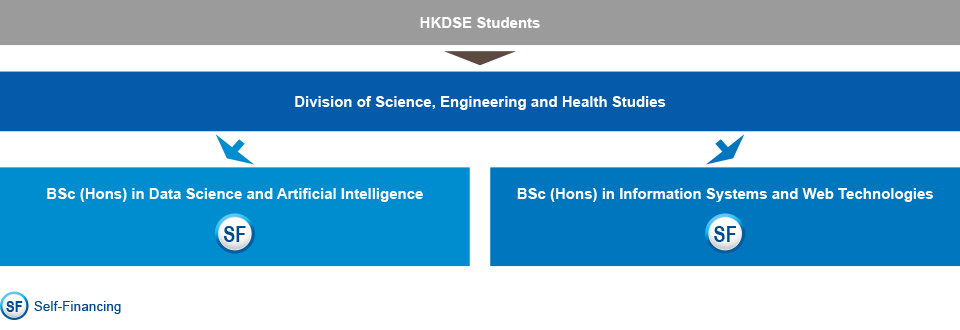 HKDSE students who are interested in studying IT-related programme can choose to study the BSc (Hons) in Data Science and Artificial Intelligence (self-financing), or BSc (Hons) in Information Systems and Web Technologies (self-financing) under the Division of Science, Engineering and Health Studies.