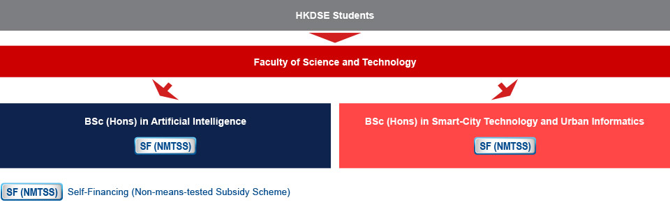 HKDSE students who are interested in studying IT-related programmes can apply for BSc (Hons) in Artificial Intelligence (Self-financing (Non-means-tested Subsidy Scheme)), or BSc (Hons) in Smart-City Technology and Urban Informatics (Self-financing (Non-means-tested Subsidy Scheme)) under the Faculty of Science and Technology.