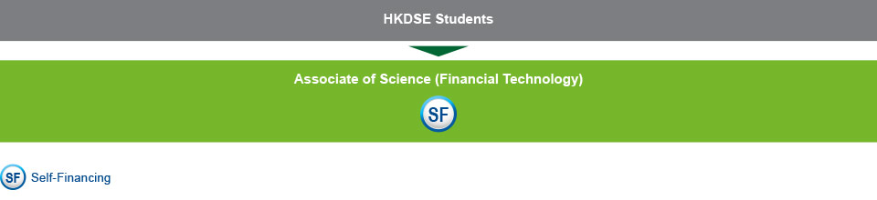 HKDSE students who are interested in studying IT-related programmes can choose to study the Associate of Science (Financial Technology) (Self-financing)