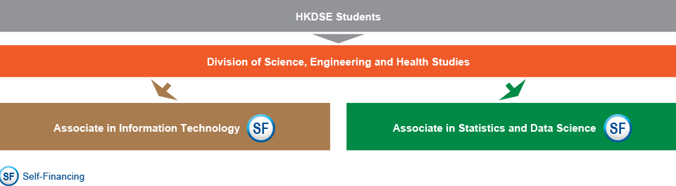 Under the Division of Science, Engineering and Health Studies, HKDSE students who are interested in studying IT-related programmes can apply for either the Associate in Information Technology (Self-financing), or the Associate in Statistics and Data Science (Self-financing).