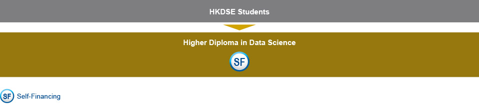 HKDSE students who are interested in studying IT-related programmes can choose to study Higher Diploma in Data Science (Self-financing).