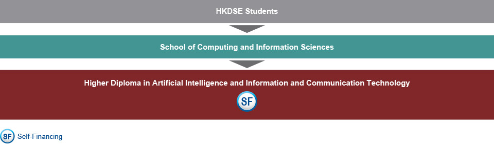 HKDSE students who are interested in studying IT-related programmes can choose to study Higher Diploma in Artificial Intelligence and Information and Communication Technology (Self-financing) under the School of Computing and Information Sciences.