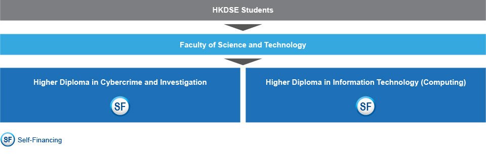 HKDSE students who are interested in studying IT-related programmes can apply for the Higher Diploma in Information Technology (Computing)(self-financing) or Higher Diploma in Cybercrime and Investigation (self-financing) under the Faculty of Science and Technology