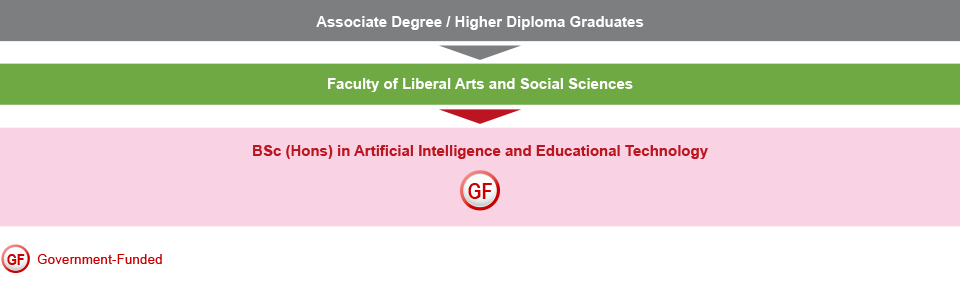 Associate degree / higher diploma graduates who are interested in studying IT-related programme will be admitted to the Faculty of Liberal Arts and Social Sciences. They can study the BSc (Hons) in Artificial Intelligence and Educational Technology (Government-funded) under the Department of Mathematics and Information Technology.