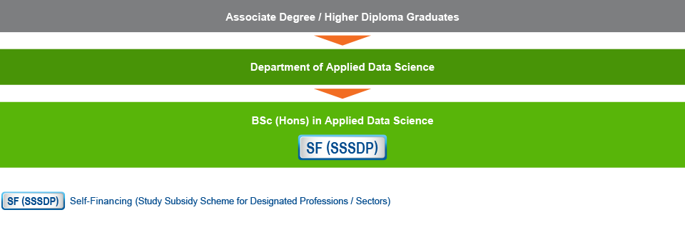 Associate degree / higher diploma graduates who are interested in studying IT-related programmes can apply for Bachelor of Science with Honours in Applied Data Science (Self-financing (Study Subsidy Scheme for Designated Professions / Sectors)) under the Department of Applied Data Science.