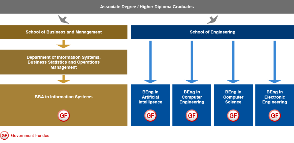 Relevant AD / HD holders from a recognised institution who are interested in studying IT-related programmes can select to admit to the School of Business and Management or the School of Engineering. For School of Business and Management, students can select BBA in Information Systems (Government-funded) under the Department of Information Systems, Business Statistics and Operations Management. For School of Engineering, students can choose to study BEng in Artificial Intelligence (Government-funded), BEng in Computer Engineering (Government-funded), BEng in Computer Science (Government-funded), or BEng in Electronic Engineering (Government-funded).