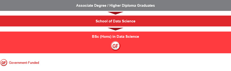 Associate degree / higher diploma graduates who are interested in studying IT-related programme can choose to study the BSc (Hons) in Data Science (Government-funded) under the School of Data Science.