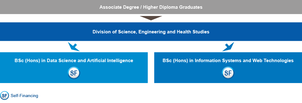 Associate degree / higher diploma graduates who are interested in studying IT-related programme can choose to study the BSc (Hons) in Data Science and Artificial Intelligence (self-financing), or BSc (Hons) in Information Systems and Web Technologies (self-financing) under the Division of Science, Engineering and Health Studies.