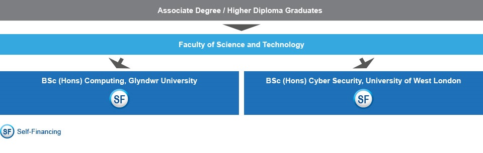 Associate Degree or Higher Diploma graduates who are interested in studying IT-related programmes can apply for Year 2 and Year 3 Entry of the BSc (Hons) Computing, Glyndwr University (self-financing), or Year 3 Entry of the BSc (Hons) Cyber Security, University of West London (self-financing) under the Faculty of Science and Engineering.