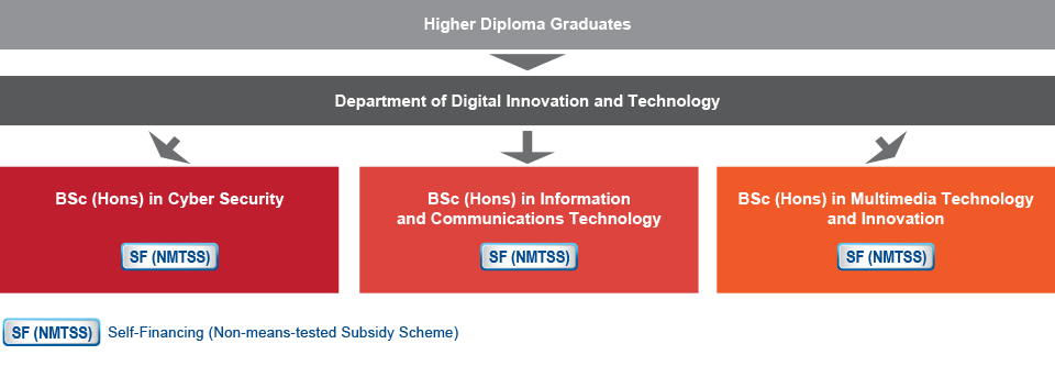 Higher Diploma graduates who are interested in studying IT-related programmes can choose to study the Bachelor of Science (Honours) in Cyber Security (Self-financing (Non-means-tested Subsidy Scheme)), the Bachelor of Science (Honours) in Information and Communications Technology (Self-financing (Non-means-tested Subsidy Scheme)), or the Bachelor of Science (Honours) in Multimedia Technology and Innovation (Self-financing (Non-means-tested Subsidy Scheme)) under the Department of Digital Innovation and Technology.