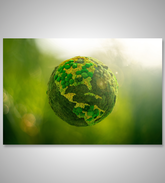 One-stop thematic webpage “Decarbonisation ‧ Business Action” for Small and Medium Enterprises